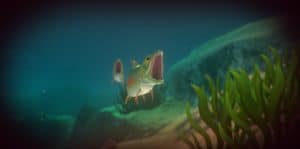 Feed and Grow: Fish 1