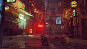 Stray 1