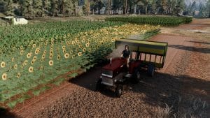 Ranch Simulator 1